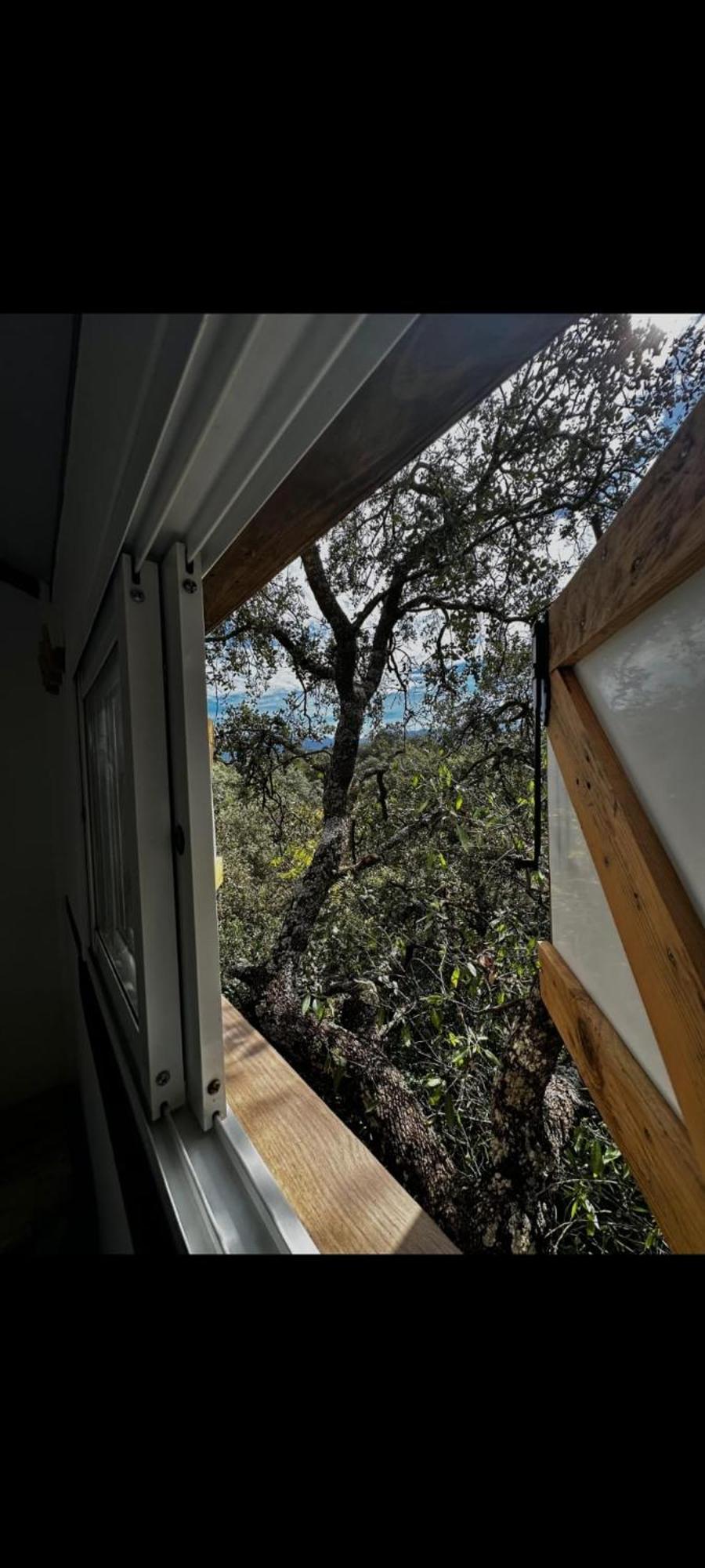 Cabana Del Arbol Lavagarural Villanueva del Rosario Exterior foto