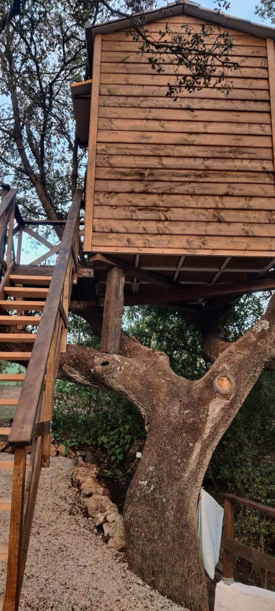 Cabana Del Arbol Lavagarural Villanueva del Rosario Exterior foto